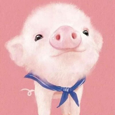 超萌猪头像可爱图片 最近很火的猪的图片